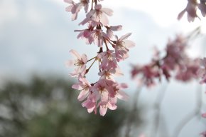 DSC_1861.JPG