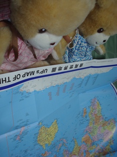 クマさん島の地図