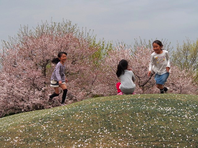 P4080264.jpg