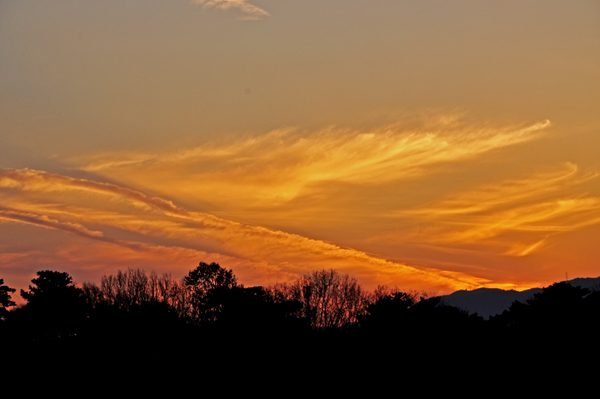 夕陽２