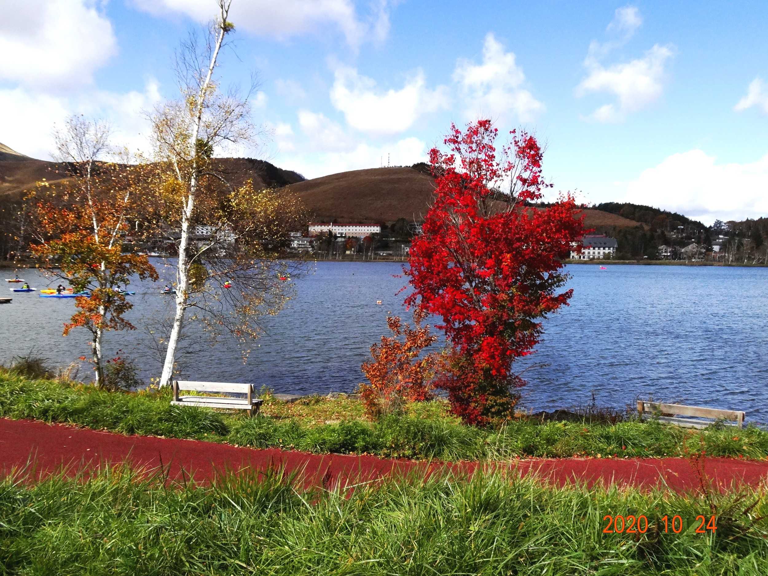 美しい白樺湖の紅葉を撮影した １０月２４日 土 山と空が友だち ドローンで空撮 楽天ブログ