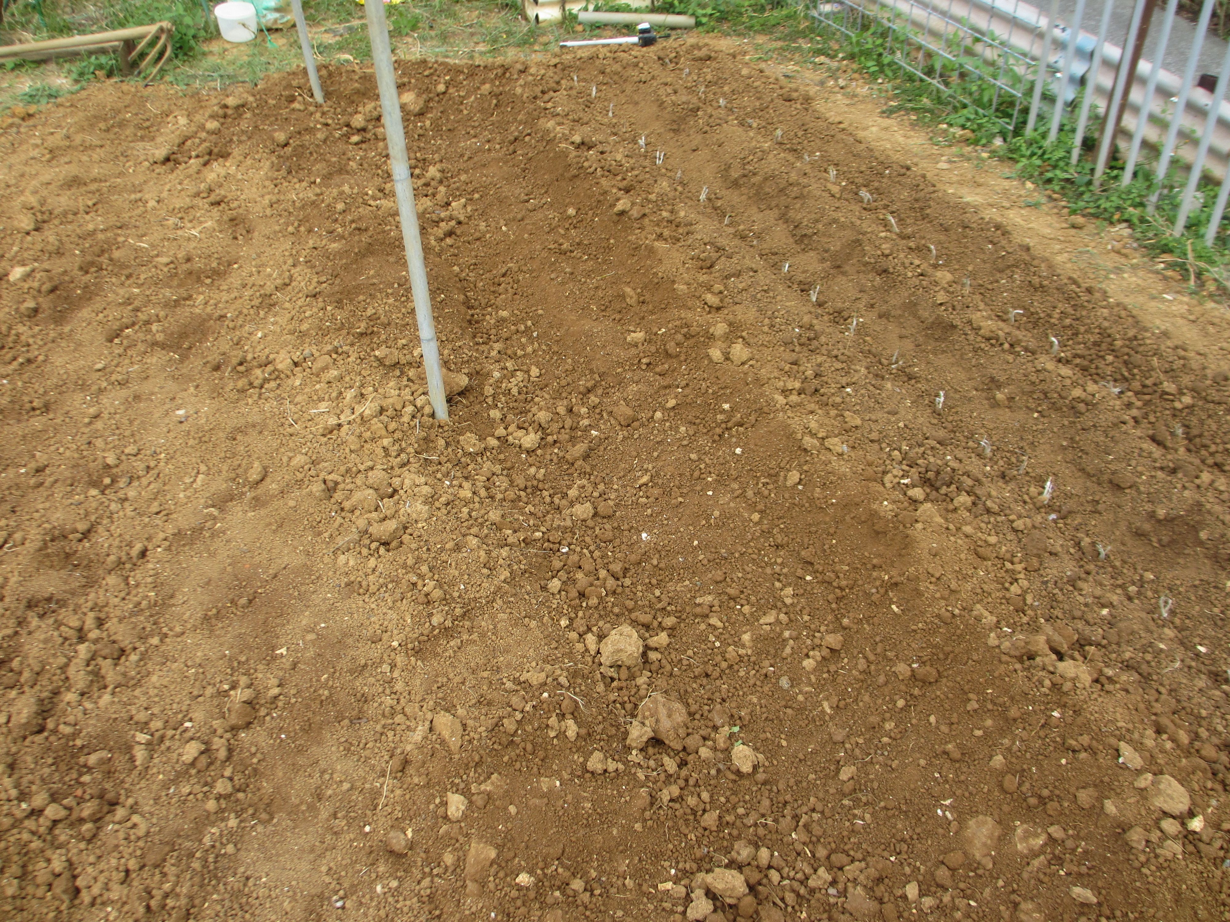 ジャガイモ 畑作業 ハルワジャ のブログ 楽天ブログ