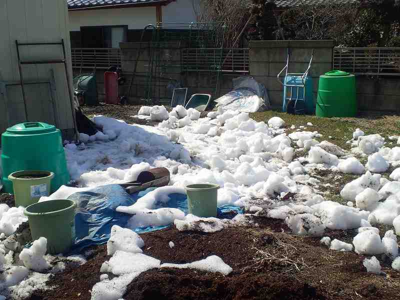 ひたすら除雪。