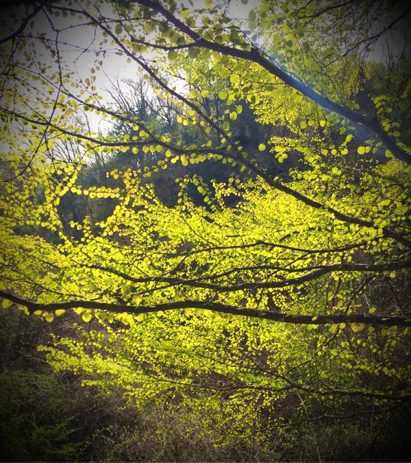 rblog-20160504150354-03.jpg