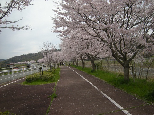 DSCN2601.JPG