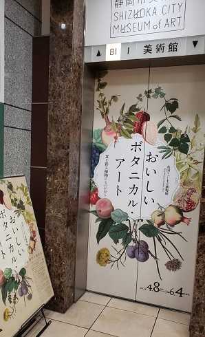 おいしいボタニカル・アート」展（静岡市美術館） | 曲まめ子の まめ子