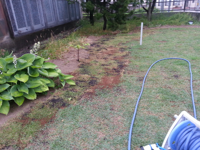 20140615_062033.jpg