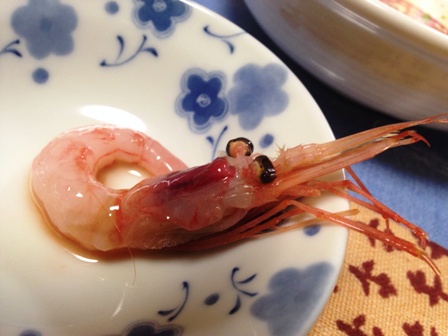 甘海老３
