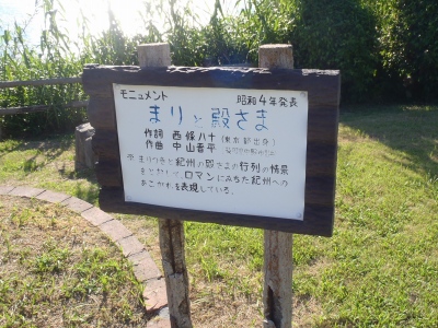 串本磯採集2012年8月上旬58　熊野枯木灘県立自然公園　日本童謡の園