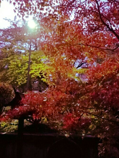 rblog-20161101185229-01.jpg