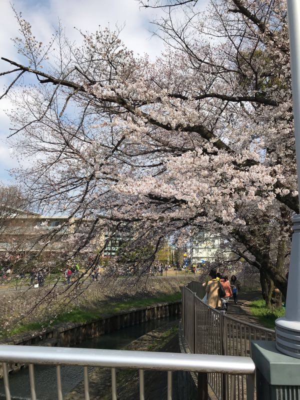 rblog-20190331195524-05.jpg