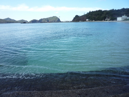 P1040440 (450x338).jpg