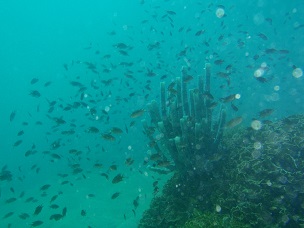 PA279645.JPG