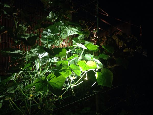 rblog-20160620211658-07.jpg