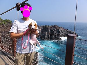 20140930城ヶ崎海岸