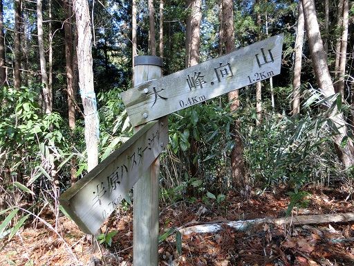 大峰山～向山～富士居山縦走 第1215号(20190213) | オータムリーフ - 楽天ブログ