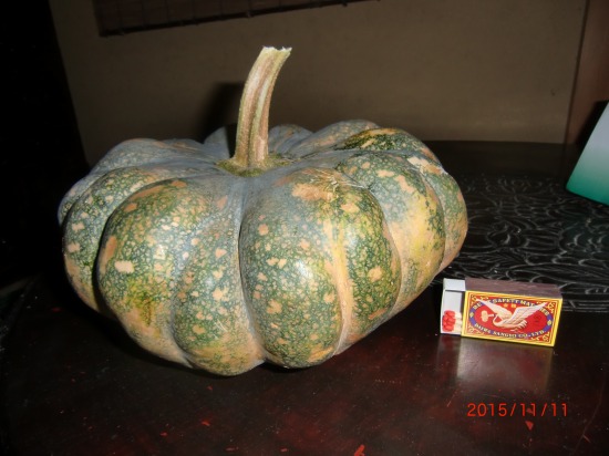 我が家の珍百景 016.jpg