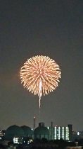 20150811軍都東京ドンと花火.jpg