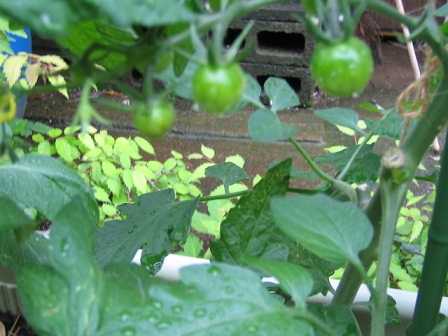 2012_0609_140602-IMG_4002.JPG