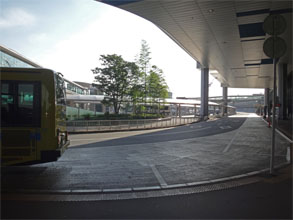OZ1311.jpg