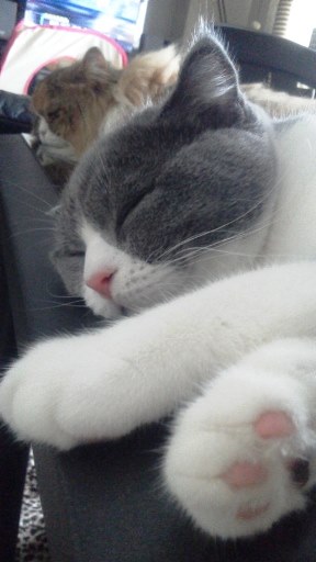 20140805114833.jpg