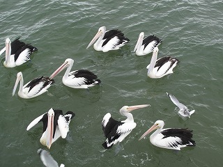 IMG_5295.jpg