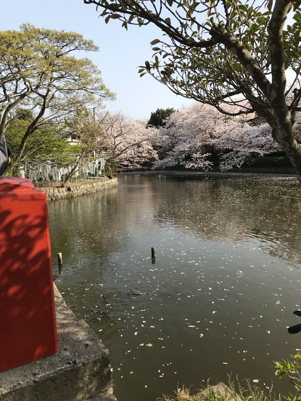 rblog-20180329185213-00.jpg