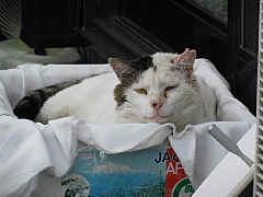 conv0722.JPG