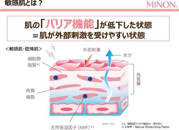 ミノン全身保湿クリーム 第一三共ヘルスケア Rsp Live5th ぐでぐでママのブログ 画像転載 お断り 楽天ブログ