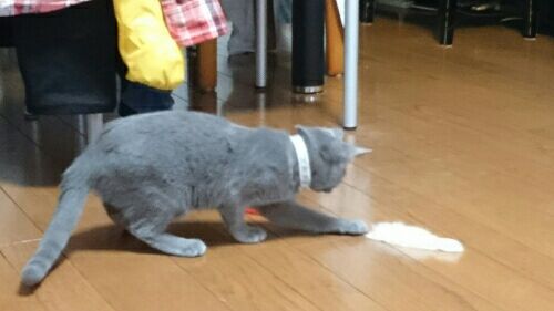 rblog-20170205195707-04.jpg