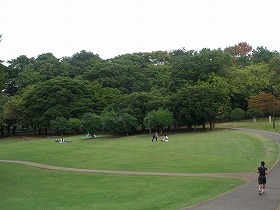 森林公園.jpg