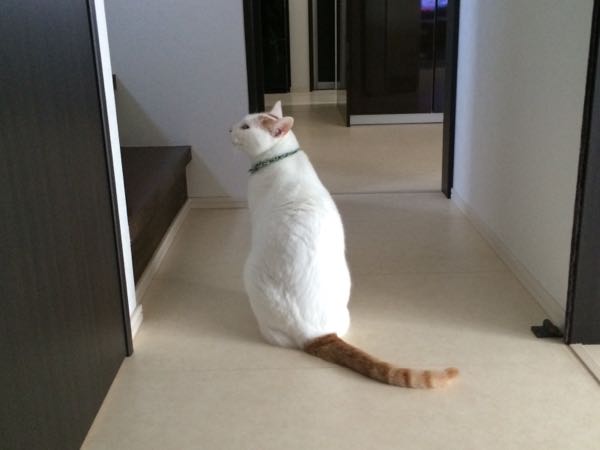 rblog-20150824062523-03.jpg