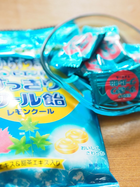 PB131179.JPG