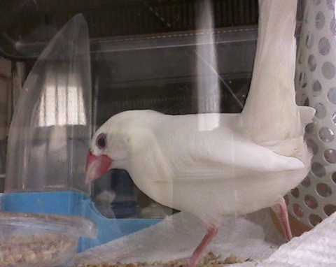 Xperia20140116093445.jpg
