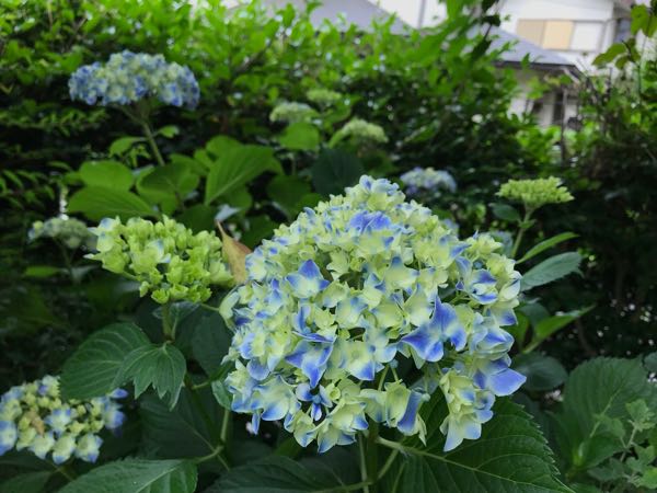 rblog-20180531150337-07.jpg