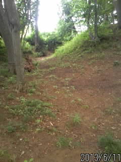 逆井城本丸の堀１