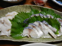 DSCN1633.JPG