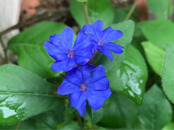 rblog-20180624175900-03.jpg