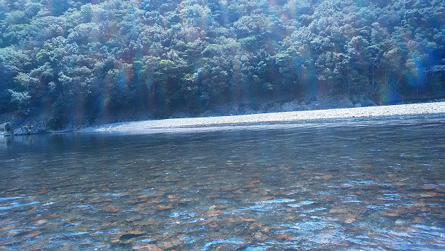resize0024.jpg