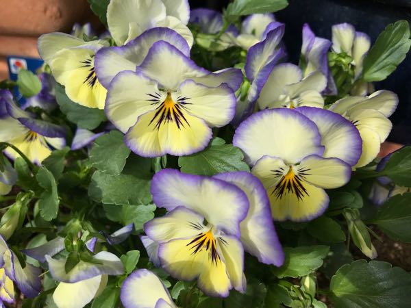 rblog-20180408162246-06.jpg