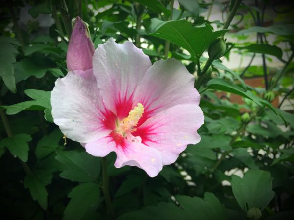 rblog-20160625182925-03.jpg