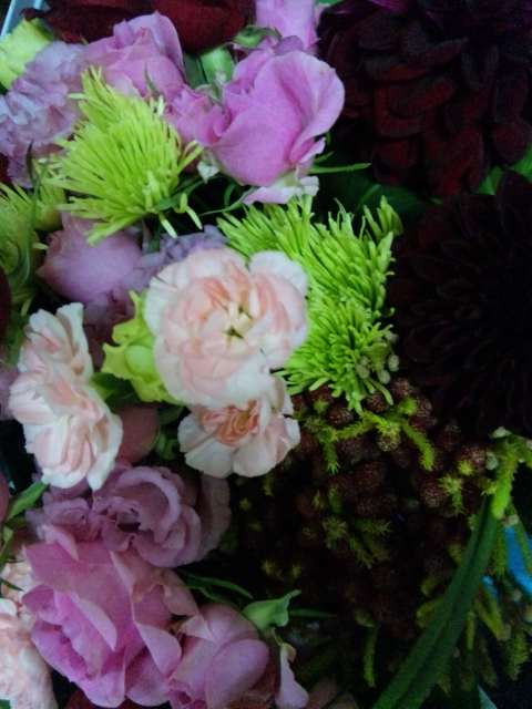 いただき物－２