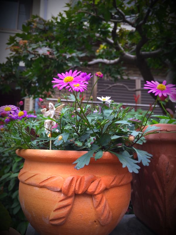 rblog-20151029145601-01.jpg