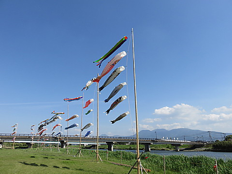 IMG_1041.jpg