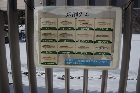 DSC01595.JPG
