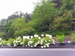 2013-07-29 16.28.58ss.jpg