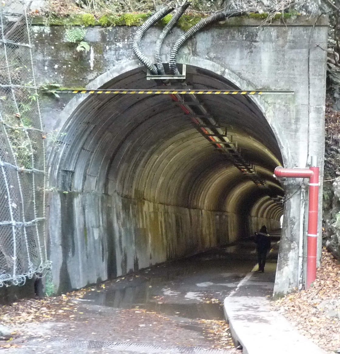P1090047-2.JPG