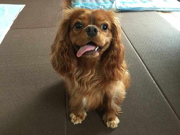 rblog-20160828102410-02.jpg