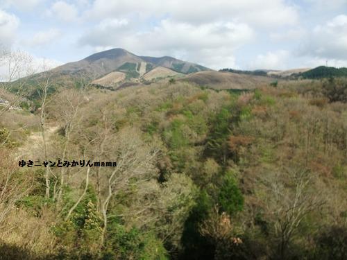 DSCF1547.jpg