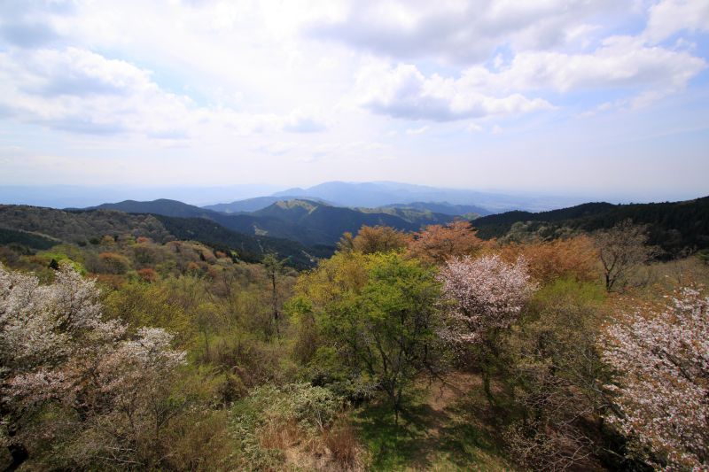 金剛山_002.jpg